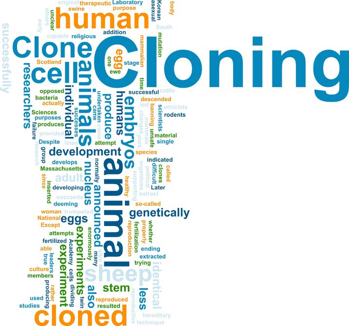 Pro human cloning research paper